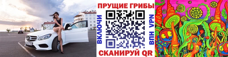 OMG ссылки  Новоалександровск  Галлюциногенные грибы GOLDEN TEACHER 